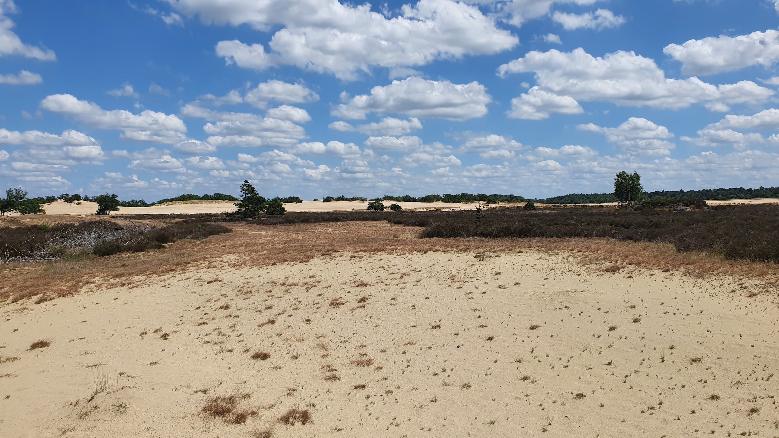 Habitattypekaarten Kampina &amp; Oisterwijkse Vennen en Loonse &amp; Drunense Duinen