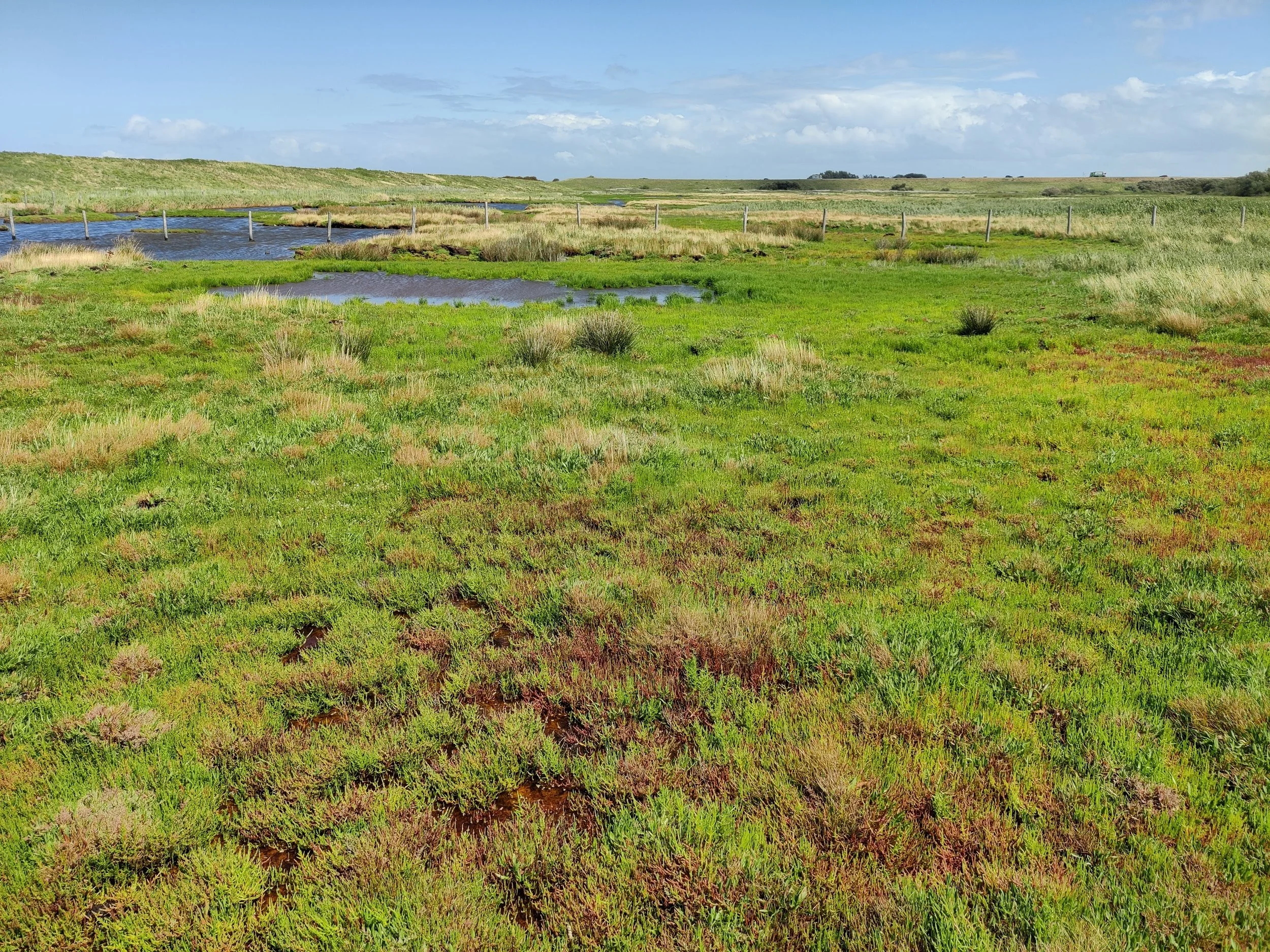 Habitattypekaarten Provincie Zeeland