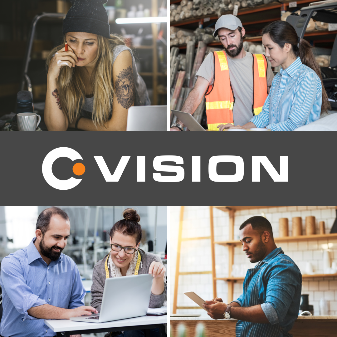 Vision by Crowd Data Systems