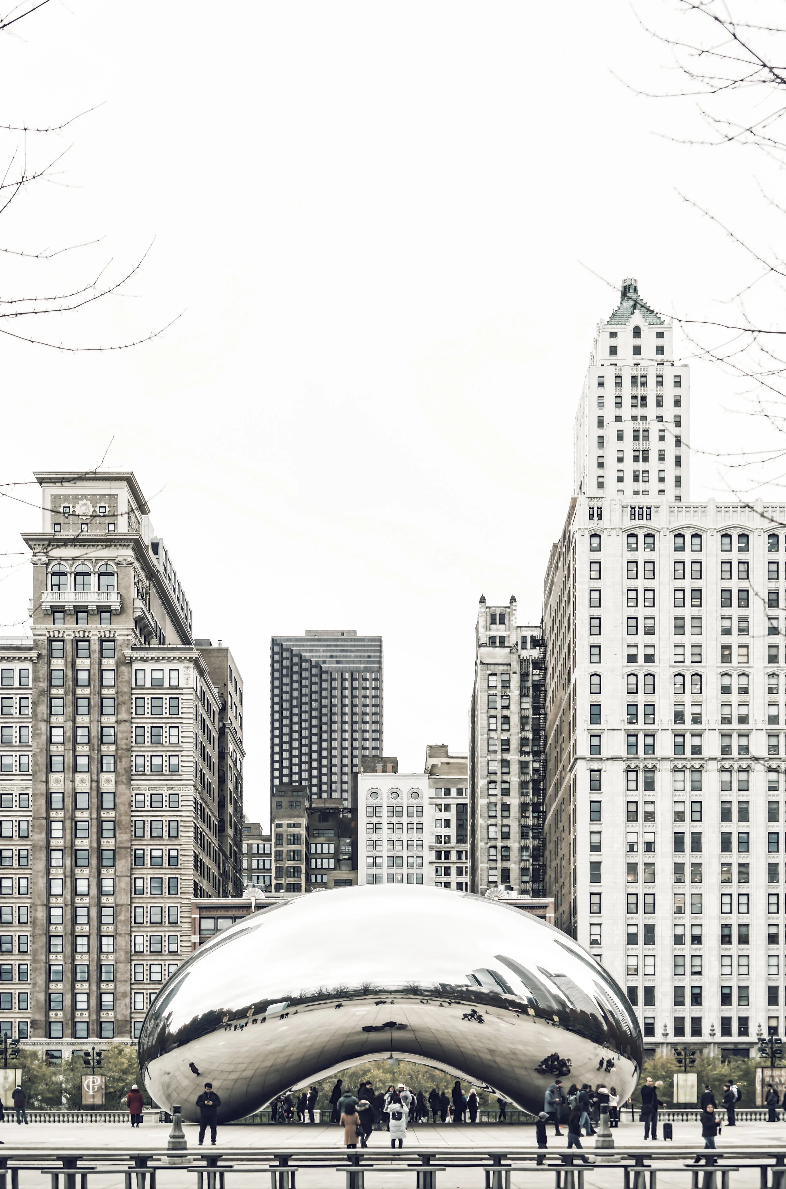 The Bean