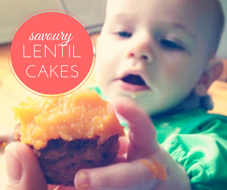 Recipe Savoury Lentil Cupcakes With Butternut Squash Little Gourmet Baby Led Weaning Guide