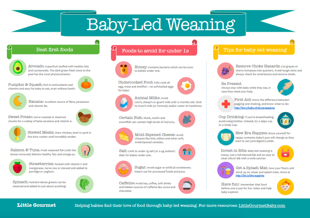 Featured image of post Easiest Way to Make Baby Led Weaning First Foods List