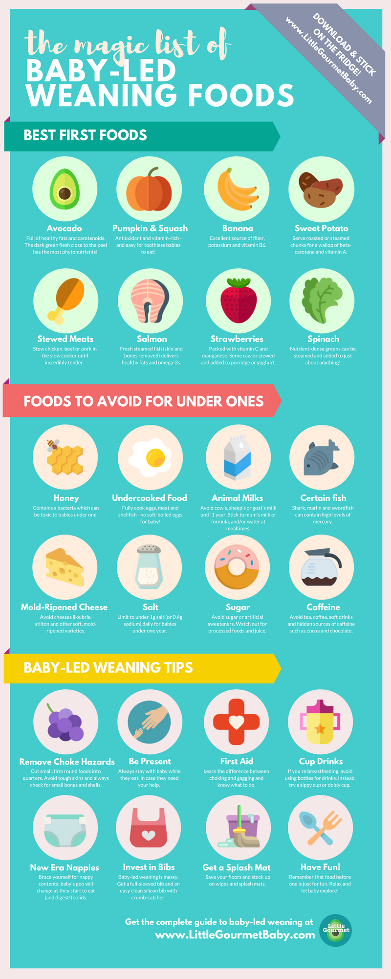 The NEW Magic List of Baby-Led Weaning Foods - 2018 Update! — Little  Gourmet - Baby Led Weaning Guide