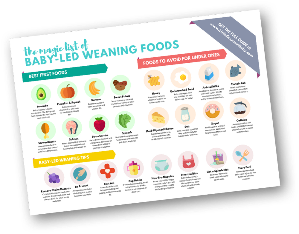 Featured image of post How to Make Baby Led Weaning First 100 Foods