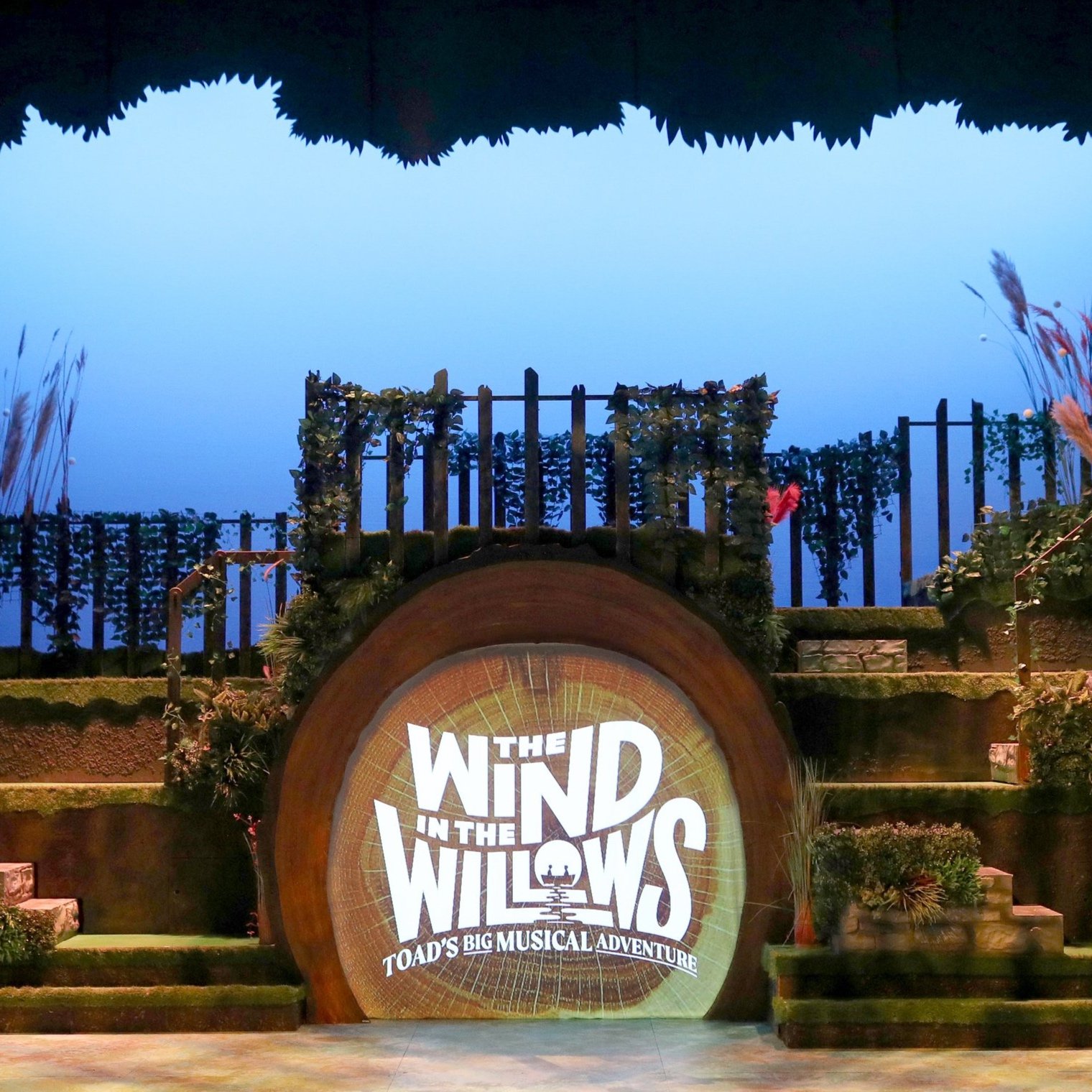 1 Willows Pro1.jpg