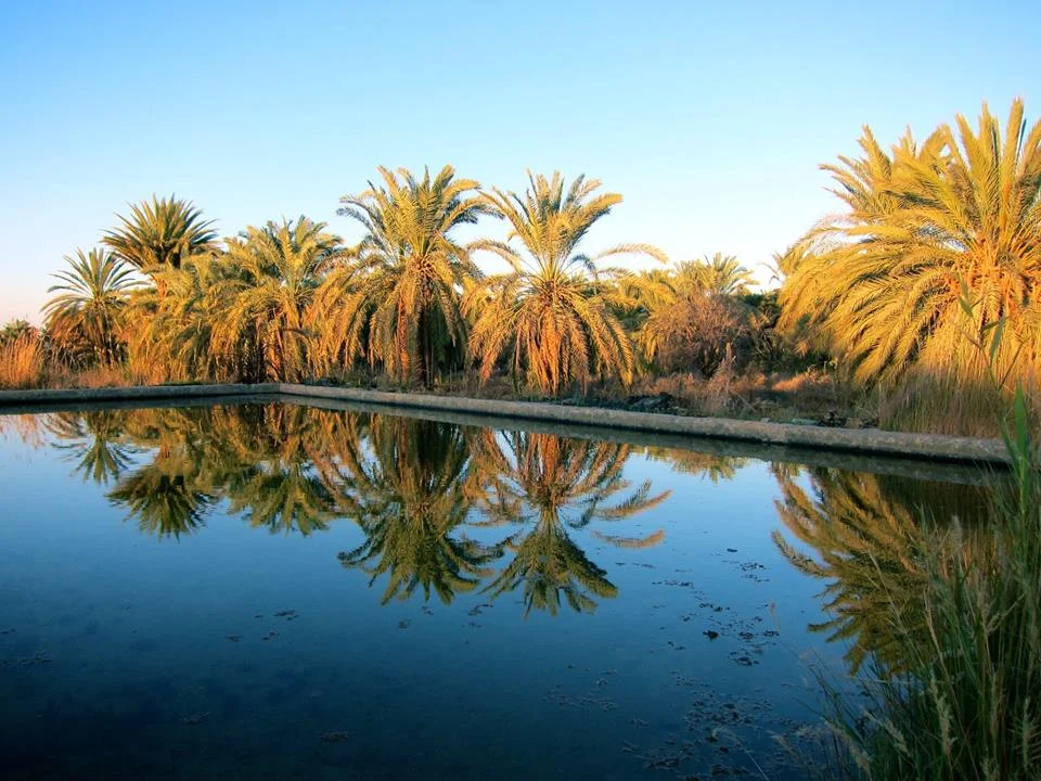 Siwa.jpg