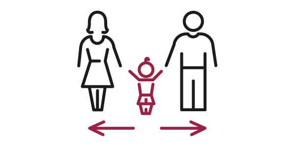 determining-custody-access-icon.png
