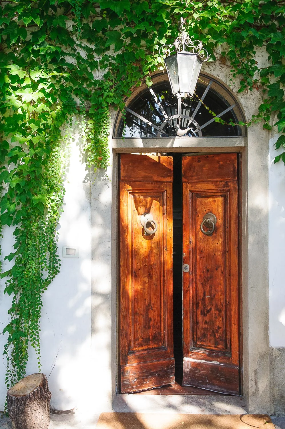 BVFrontDoor Detail low.jpg