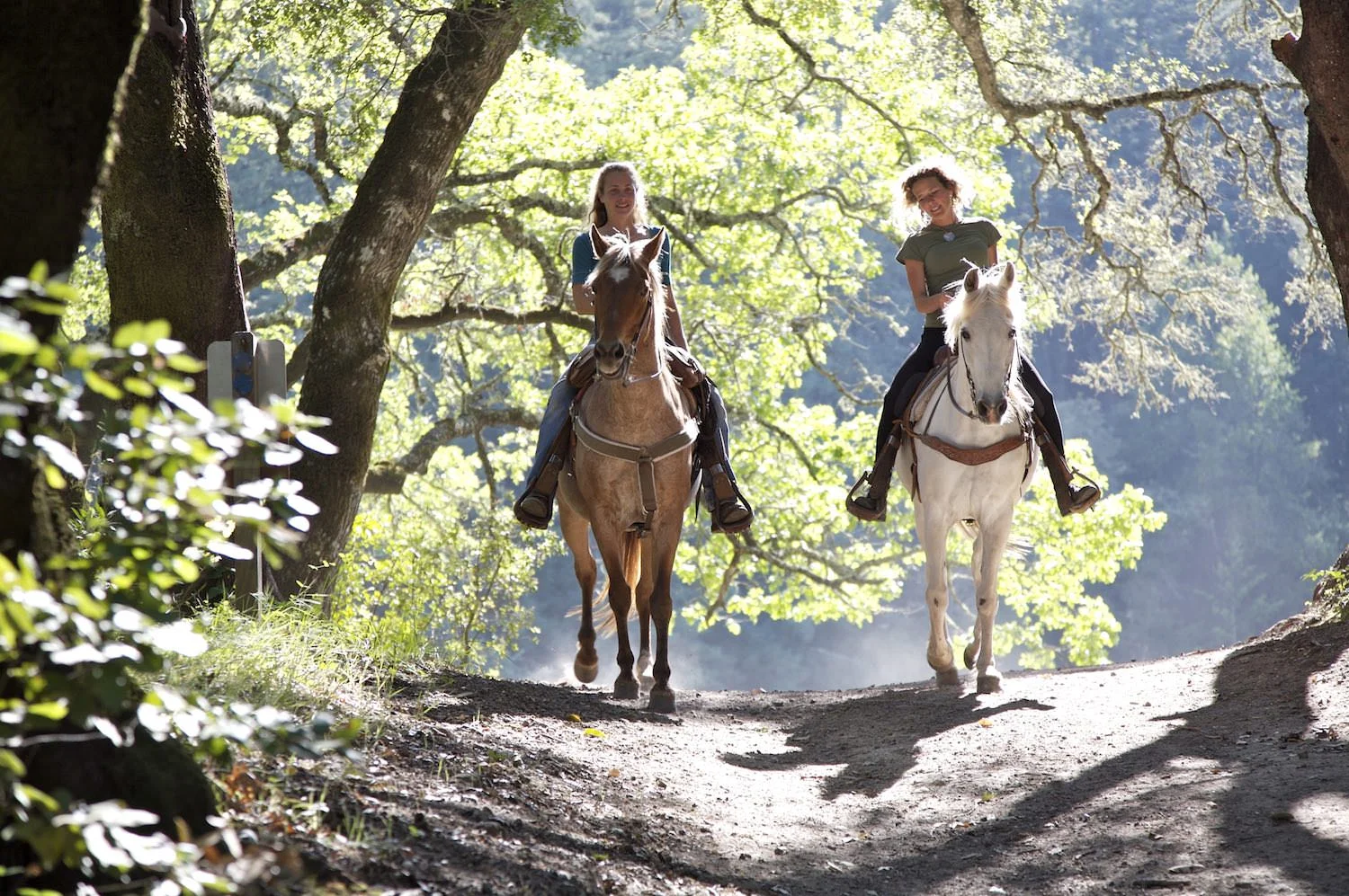 Horse riding in Tuscany