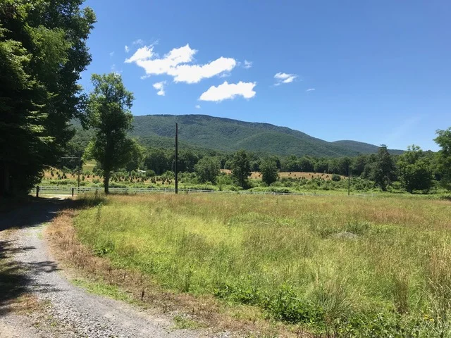 summer lower driveway 2.jpeg