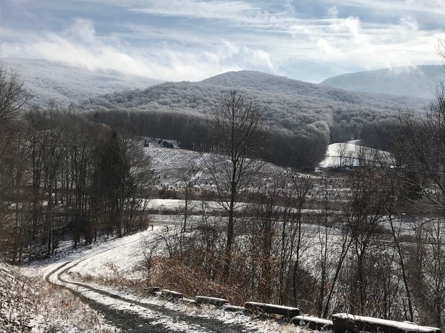 winter driveway.jpeg