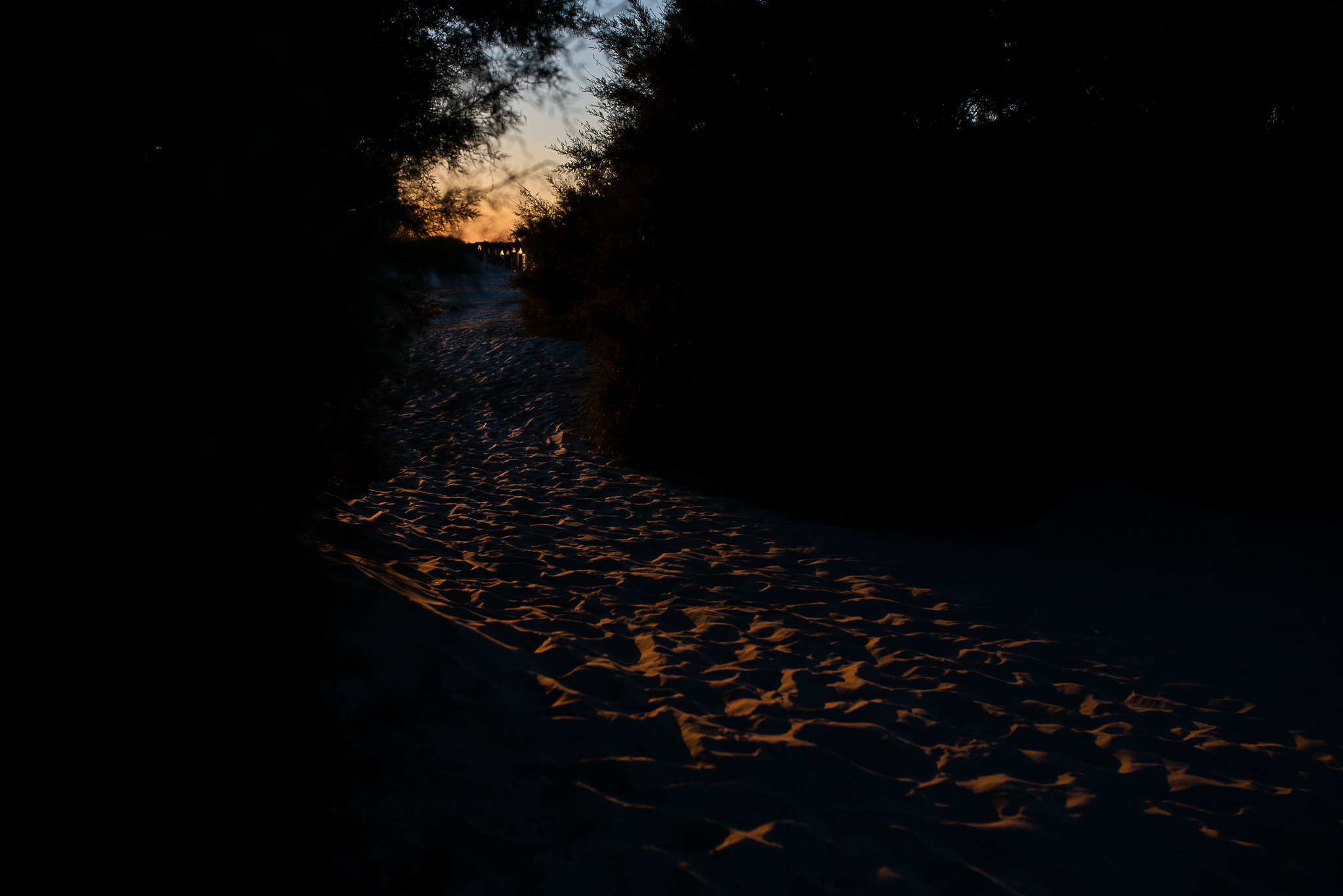 West-Wittering-Beach-Daniel-Robinson-Photography-6.jpg