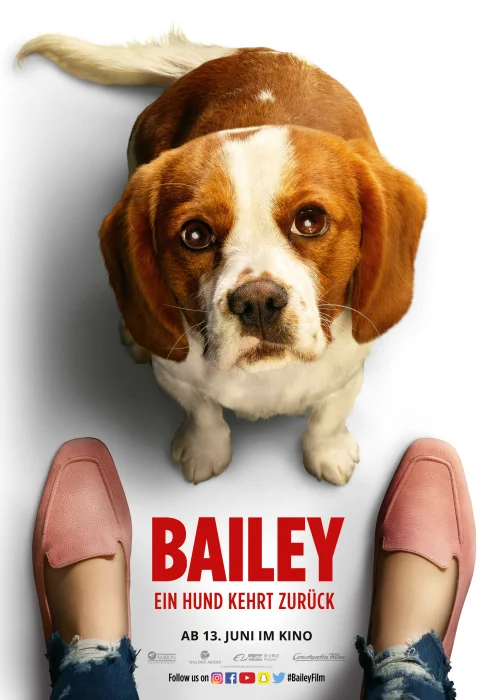 BAILEY2_Plakat_A4_Hund4_700.jpg