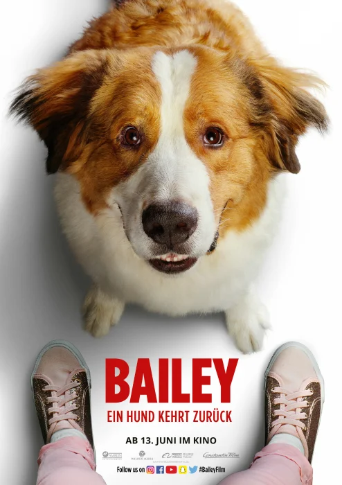 BAILEY2_Plakat_A4_Hund1_700.jpg