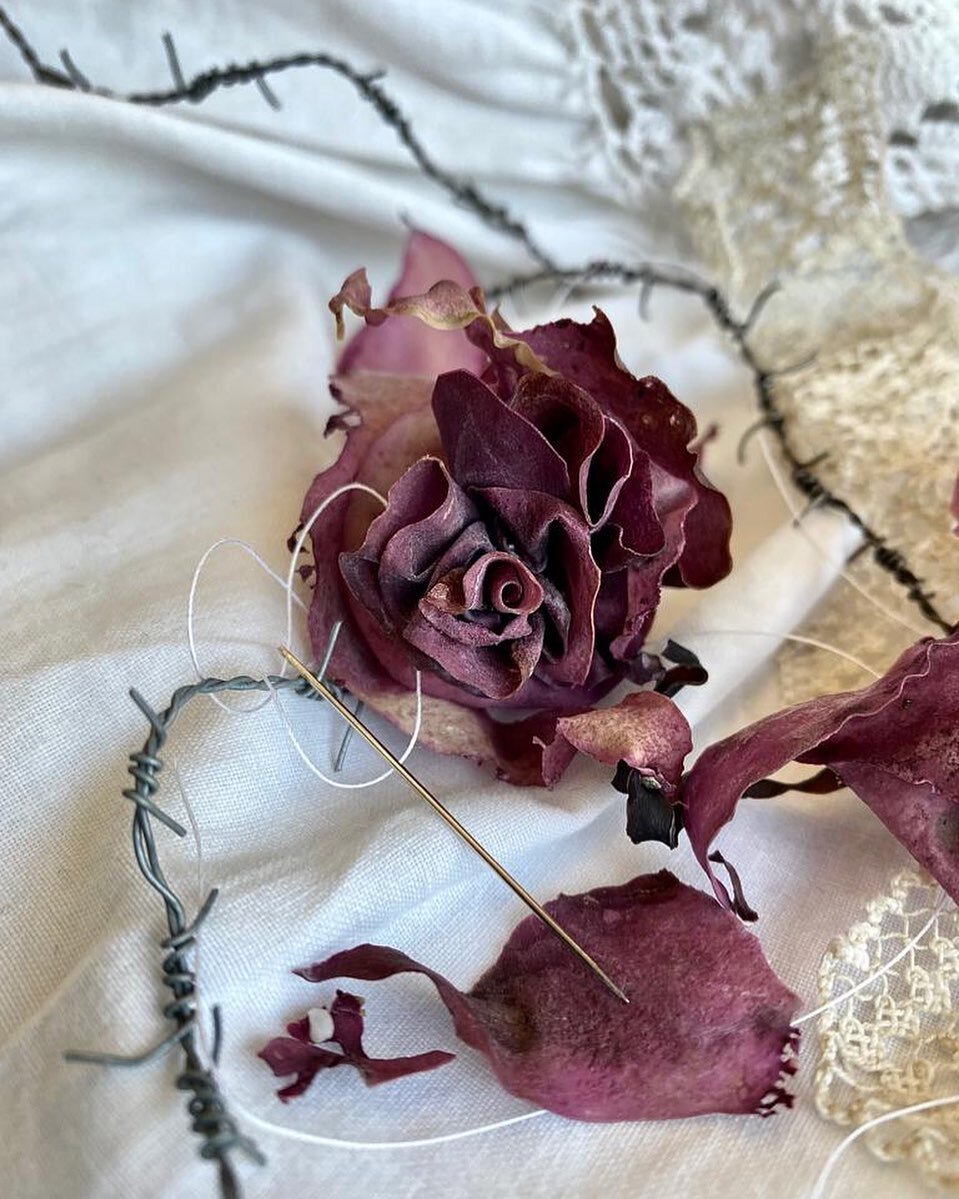 Stitched roses from found pink seaweed . NATURE..you are tremendous and fabulous. #foundobjects #beachlife #shesewsseashells #rosesinart #naturalworld #vaultbeach #cornwall #stitched #textilework #marineobjects #womenartists