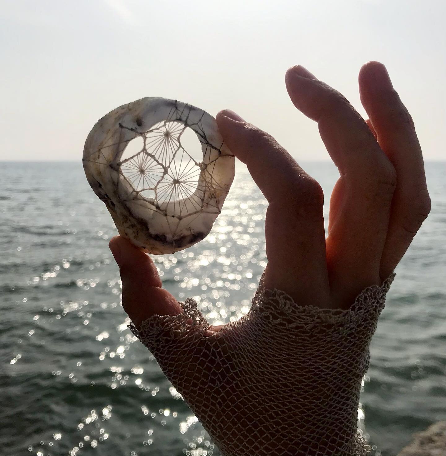 Dazzling light and a weathered shell stitched sculpture. Another glorious morning at #stleonardsonsea ... This one turned out like a little #barbarahepworth .... maybe she was watching me stitch by the sea... 

#light #beach #stitched #weaved #shells