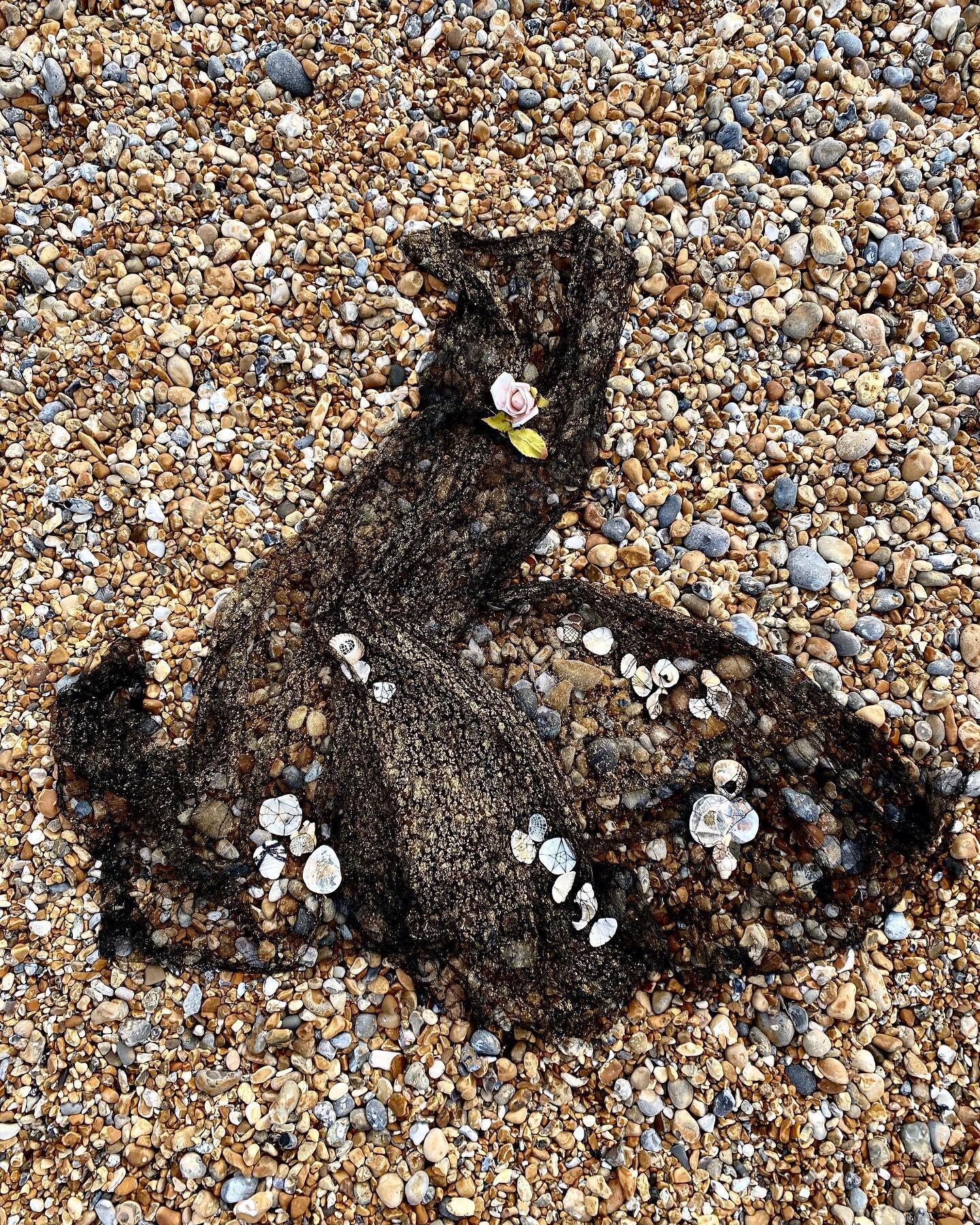 Playing with lace and shells on the beach early this morning. Part of the &lsquo;All she wanted to do was fly...&rsquo; work. 

Trying to stay positive. And sending love out. 

#fly #antiqueclothing #lace #recycledfashion #stleonardsonsea #hastings #