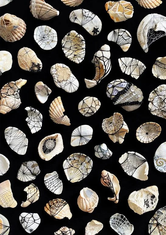 Shell Study No.1.jpg