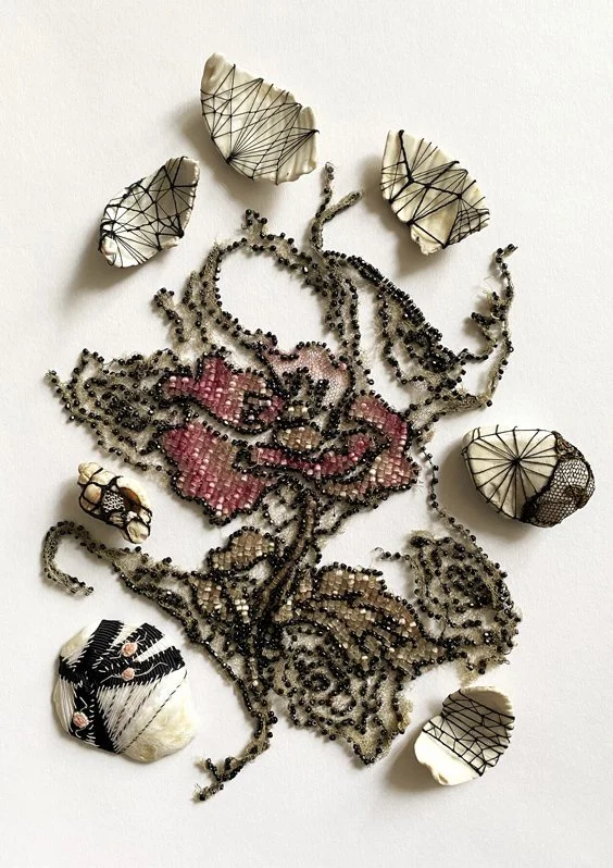 Shell Study No.2.jpg