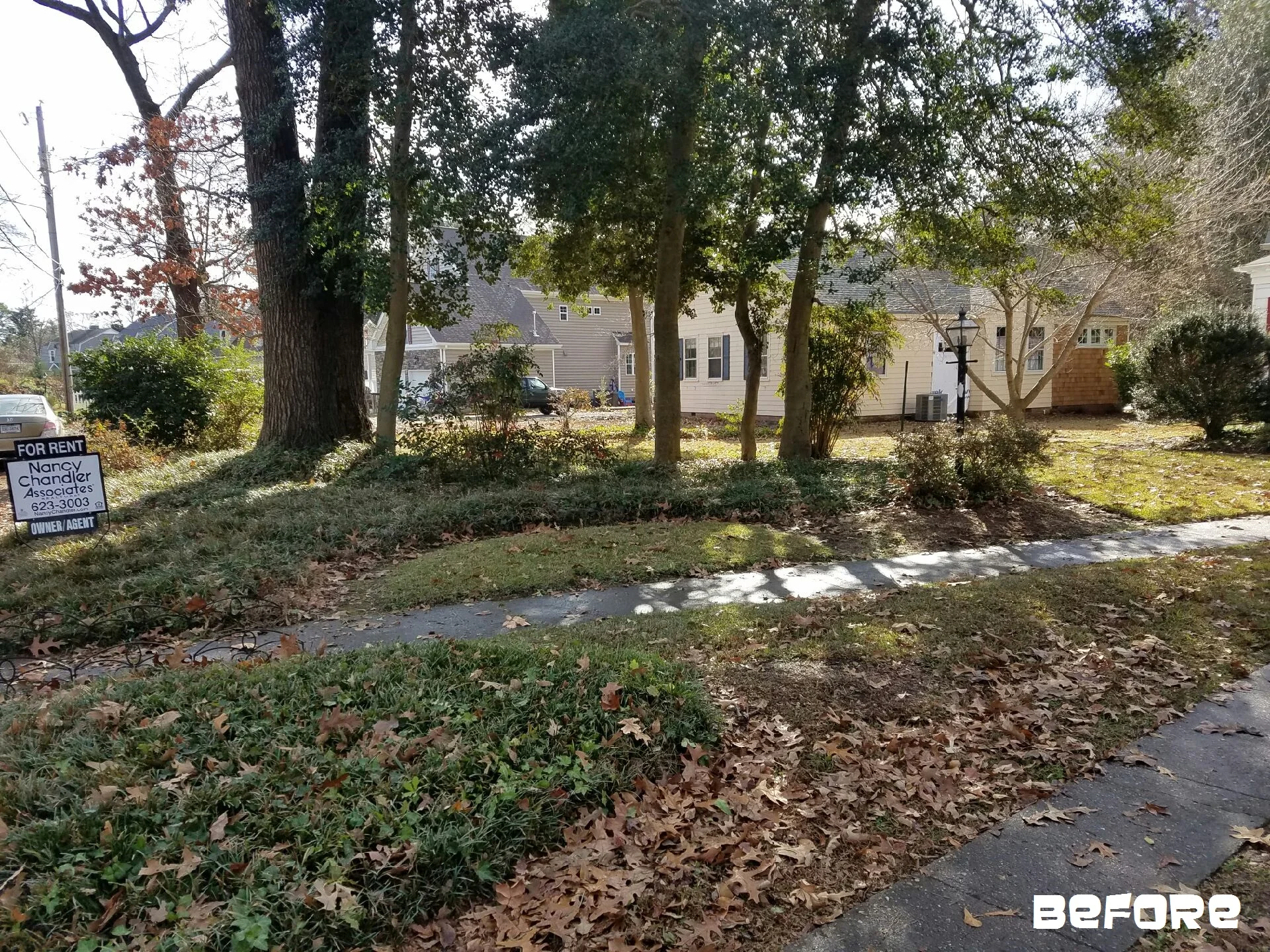 Leaf Detail / Bed Maintenance - Norfolk, VA