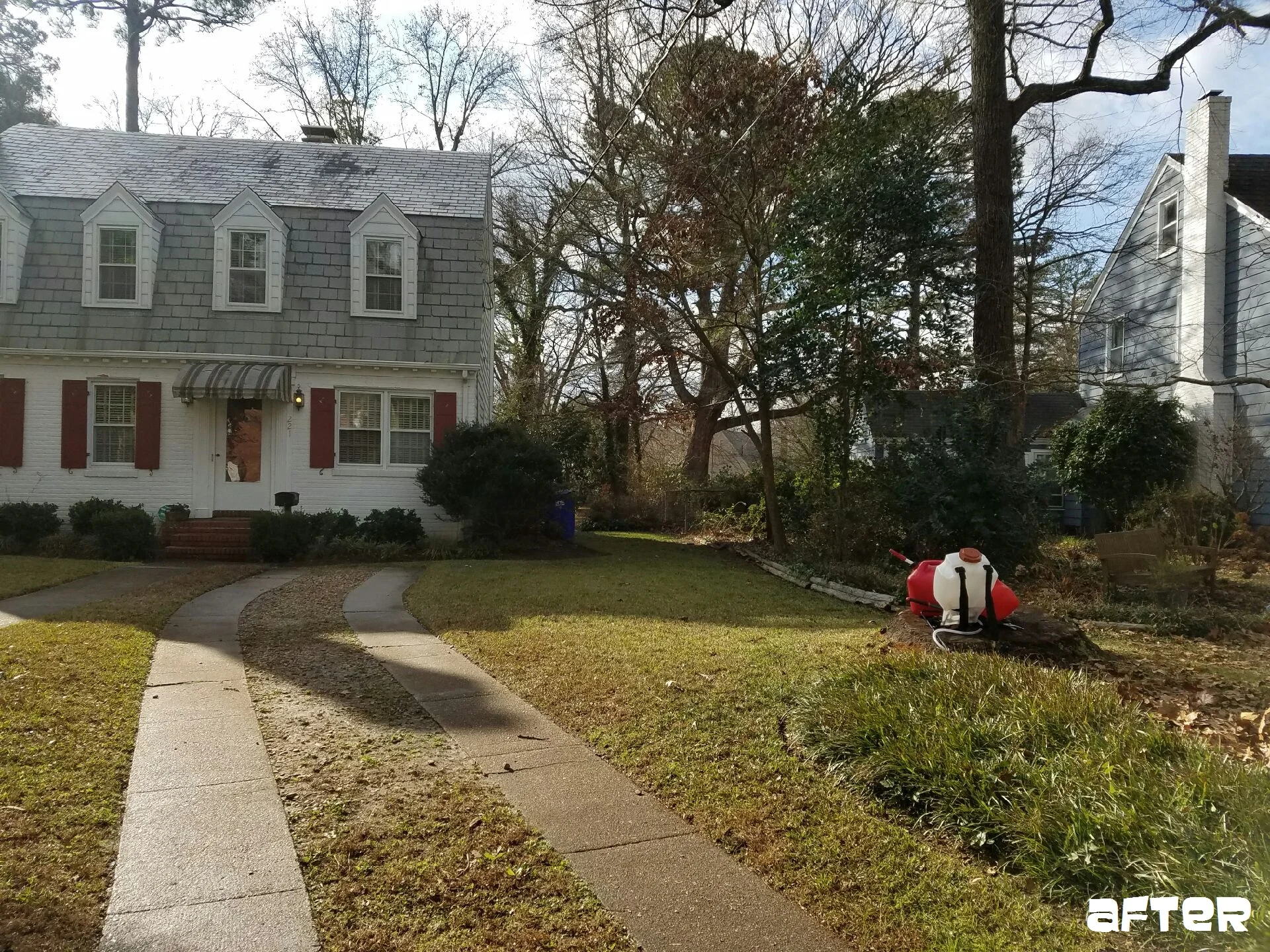 Leaf Detail - Norfolk, VA