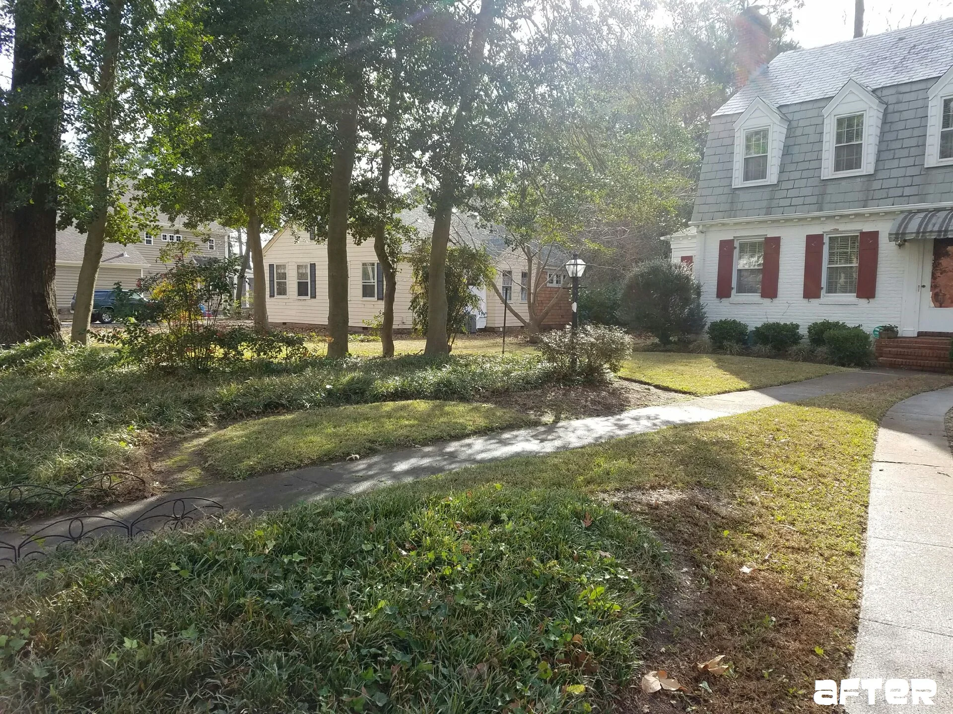 Leaf Detail / Bed Maintenance - Norfolk VA