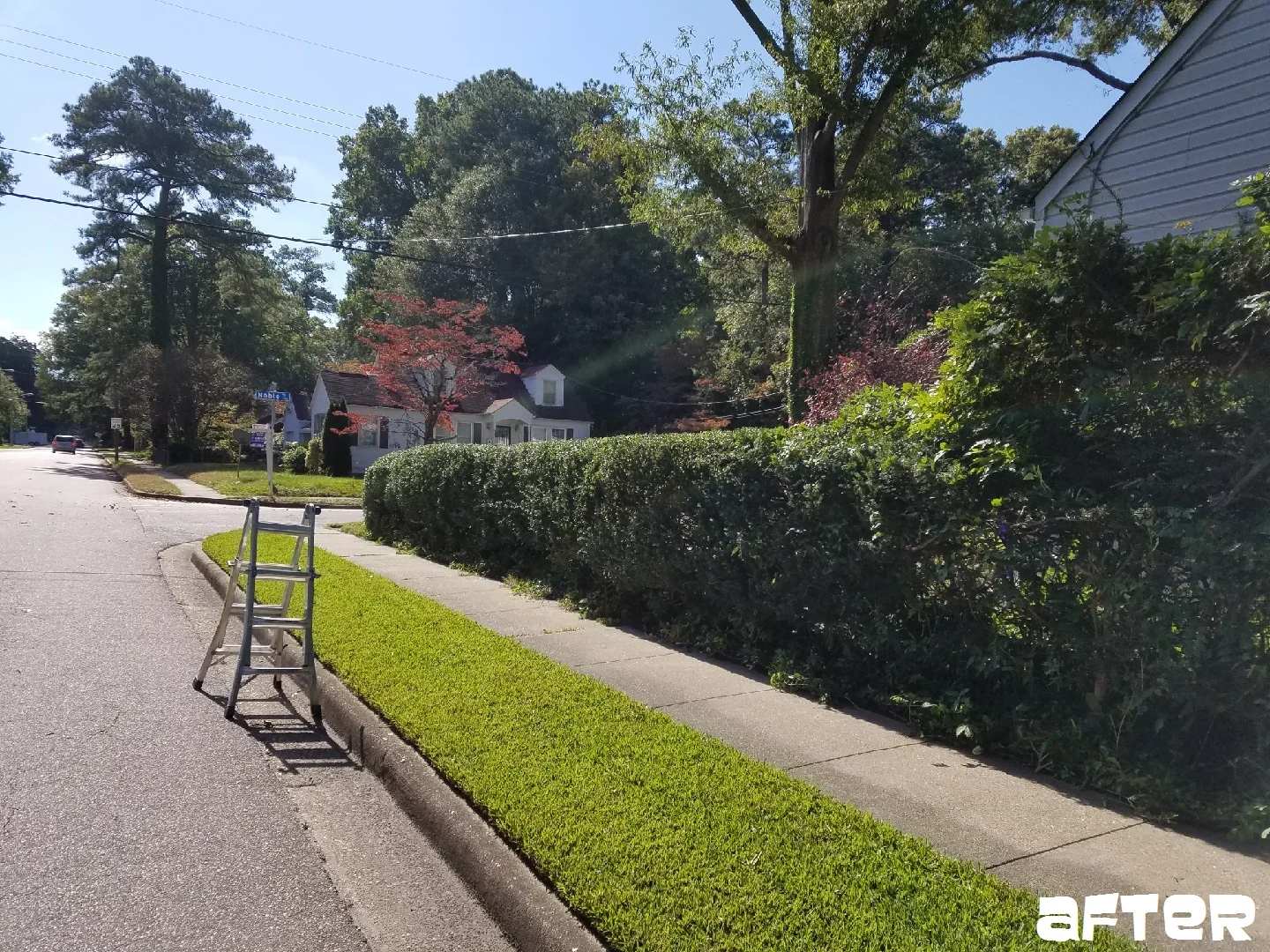 Bush Maintenance - Norfolk