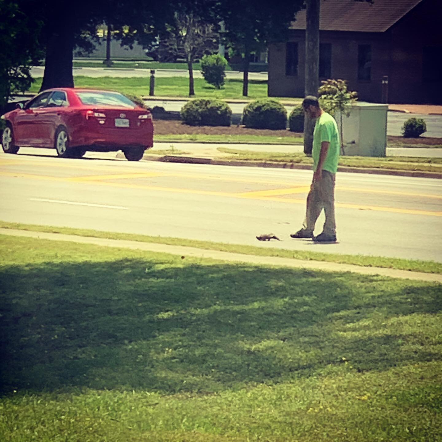 Eric taking a little break from grounds maintenance to help a turtle cross the road 🐢