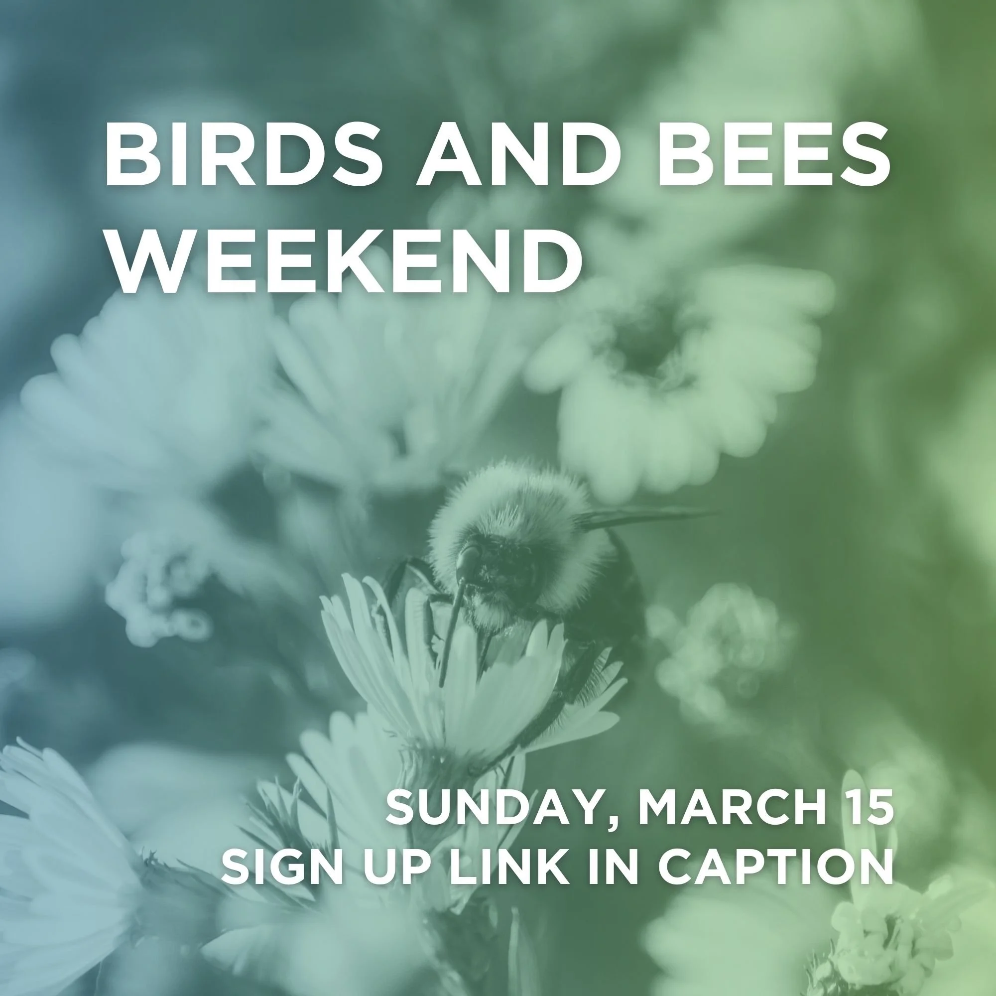 Parents, join us next Sunday, March 15, for the Birds and Bees Weekend! We will have a number of offerings for parents and for young people in the late afternoon and early evening related to our bodies and sex. Get all the details and register here: 