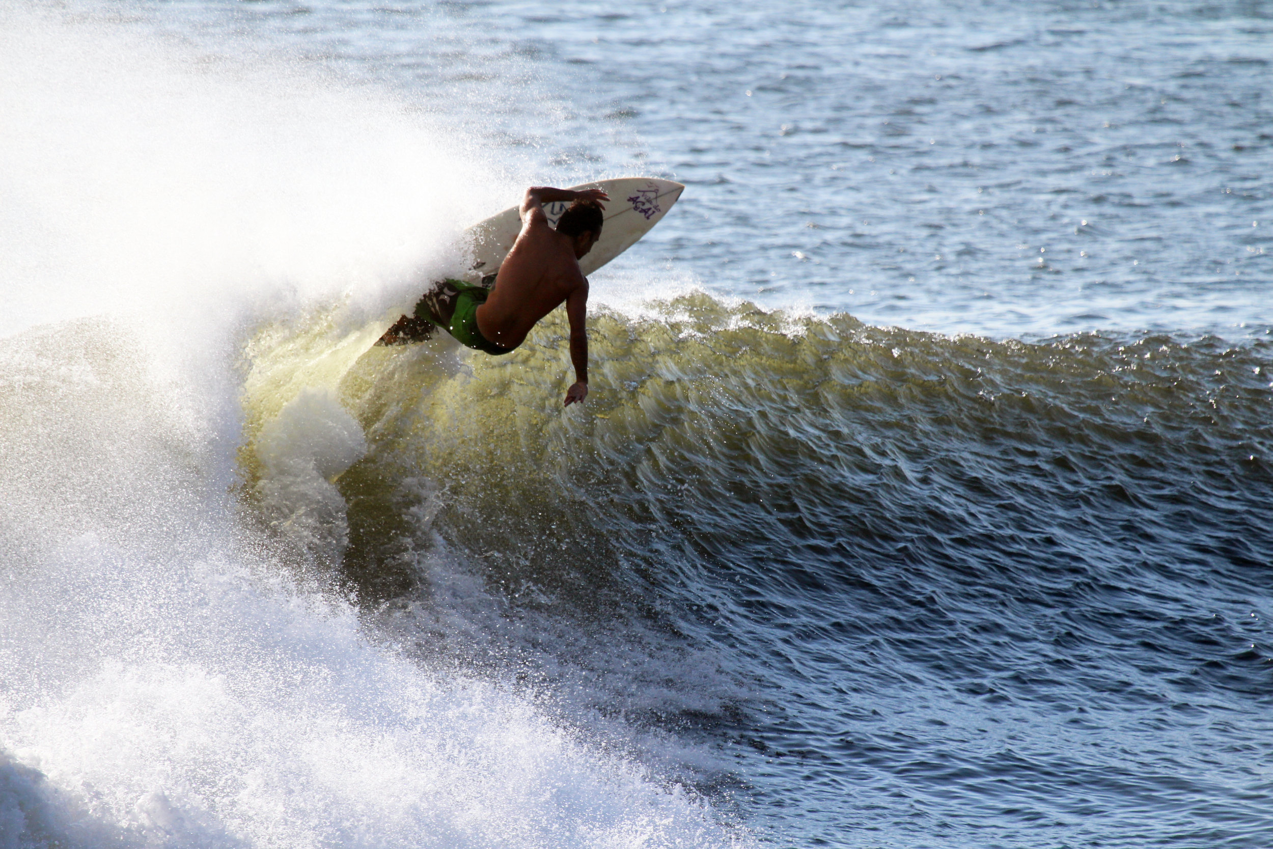 Surf The Urge