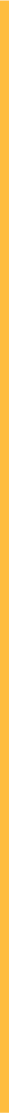 Vertical line2.png