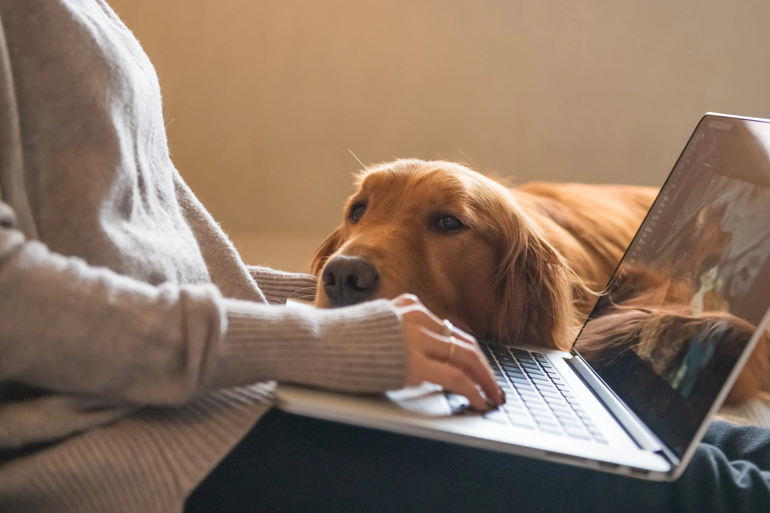 Challenges of Working From Home