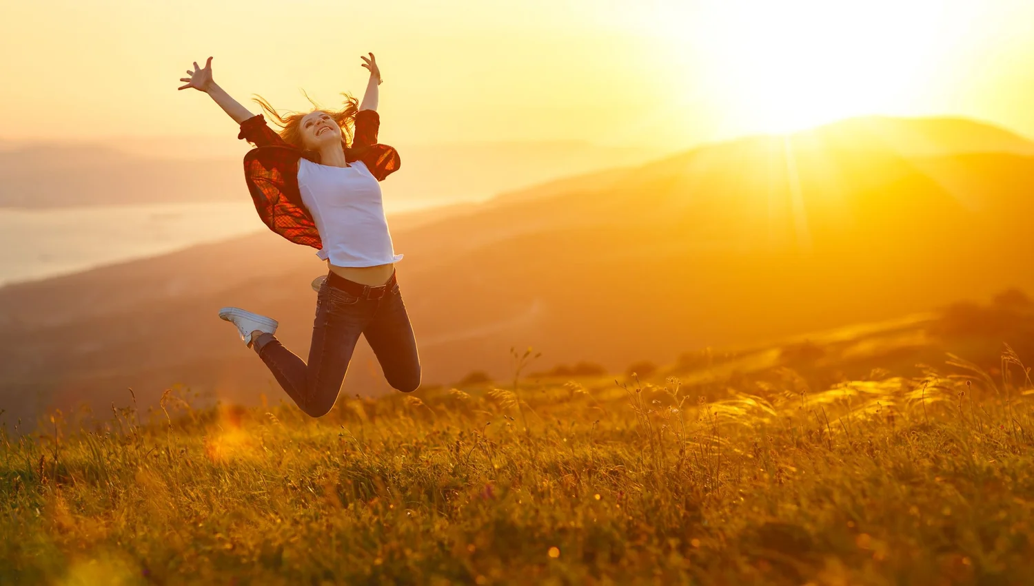How Does Joy Feel? — Levelhead