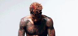 tumblr_nr38q18nl81tsqmfco1_r2_250.gif