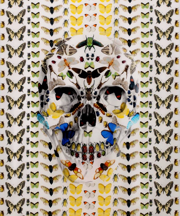 Damien-Hirst-and-Alexander-McQueen-skull-Scarf-Collaboratio.jpg