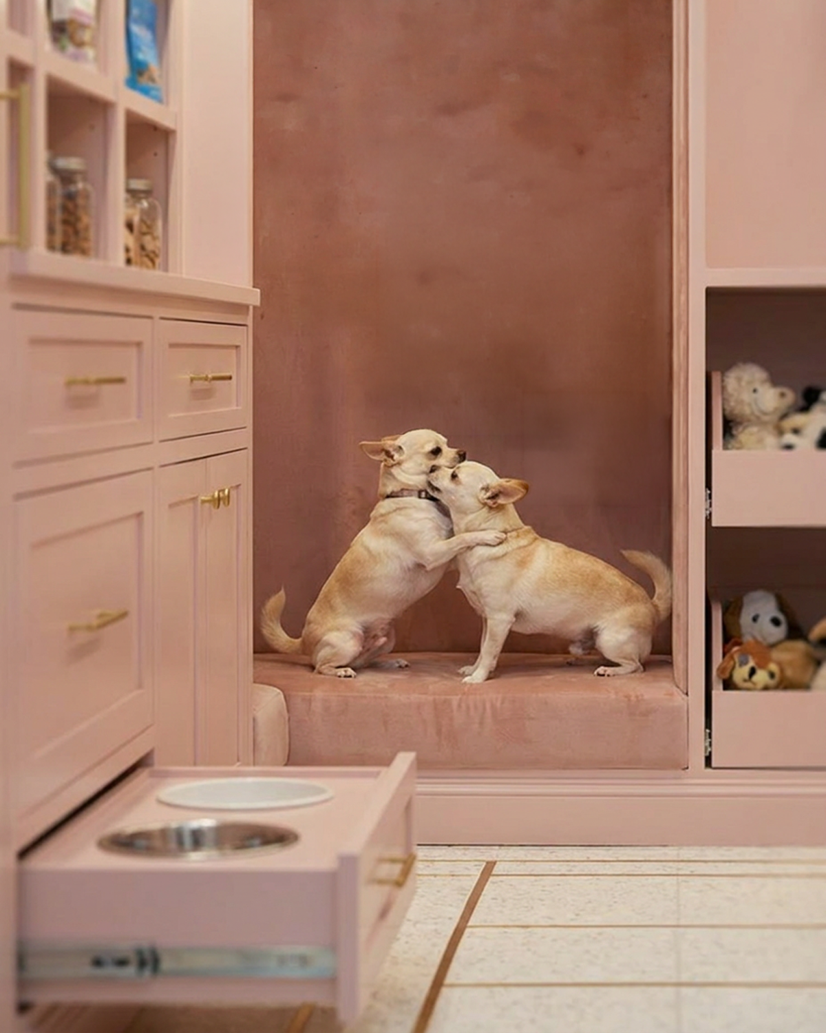 DOG30.png