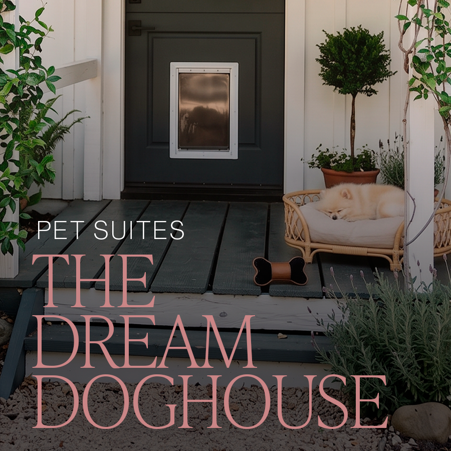 The Dream Doghouse