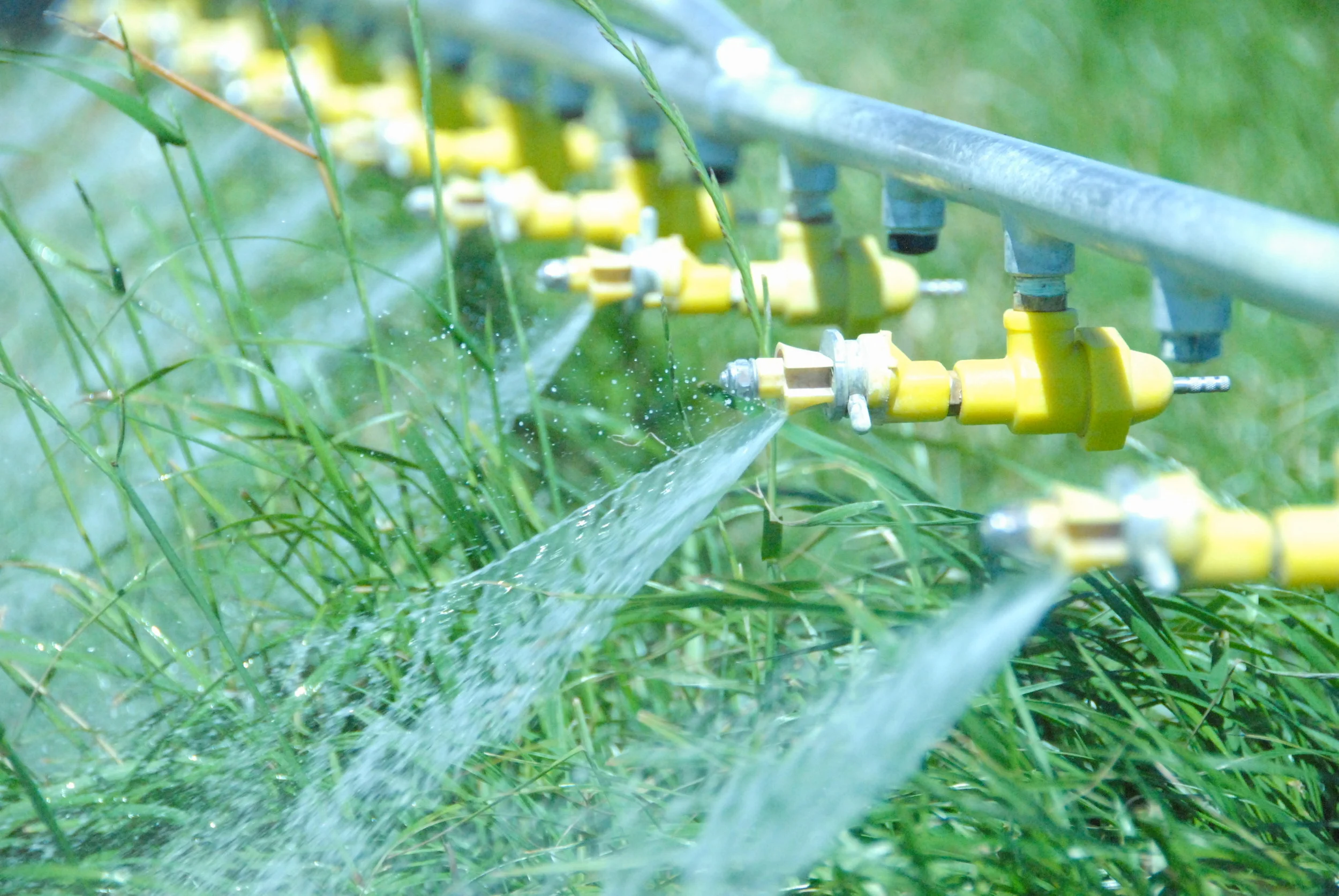 Committees — Canadian Aerial Applicators Association