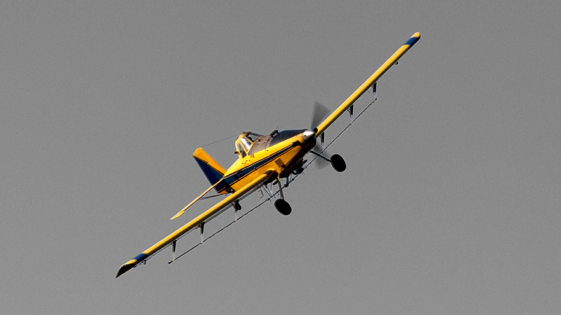 Scholarship — Canadian Aerial Applicators Association