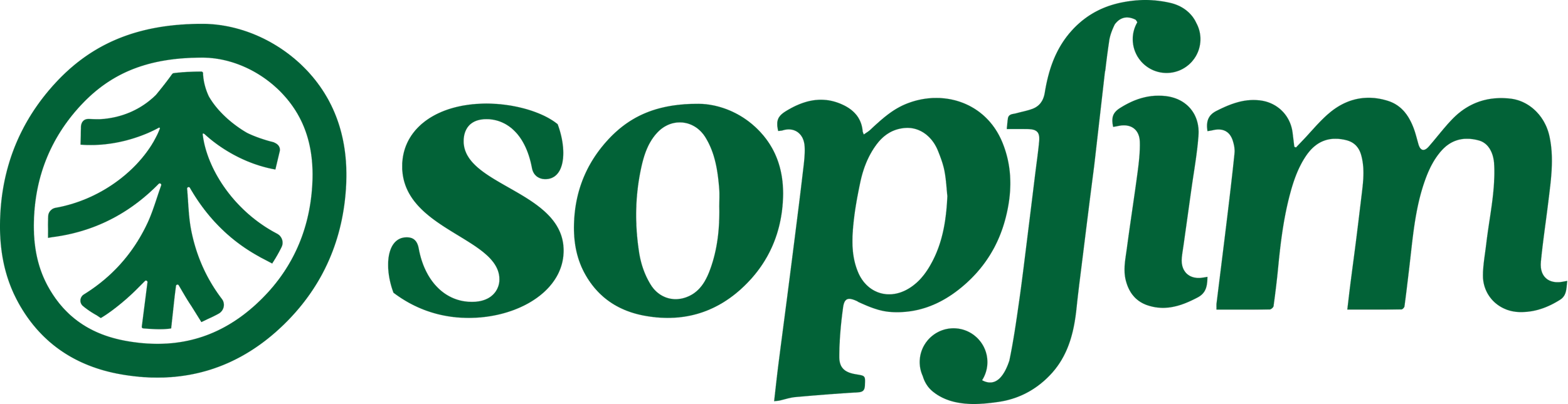 sopfim-logo-vert.png