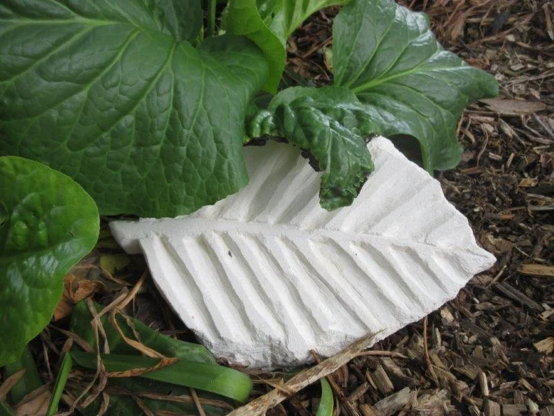 Leaf by Priya (2).jpg