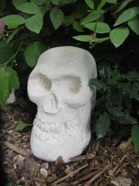 Skull by Mark (3).jpg