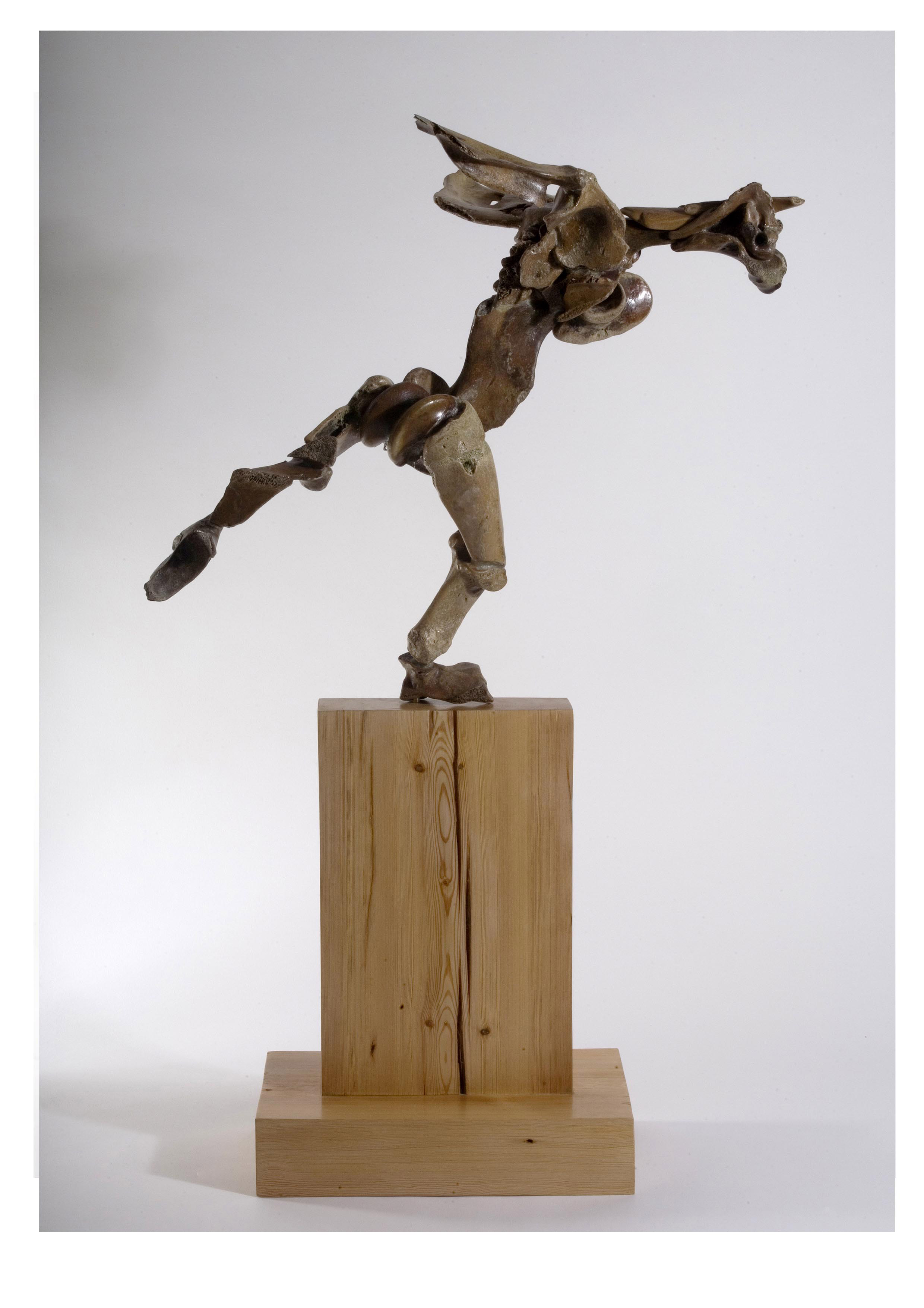 Emery - 'Birdman' - Bones, wood - 90cm tall.jpg