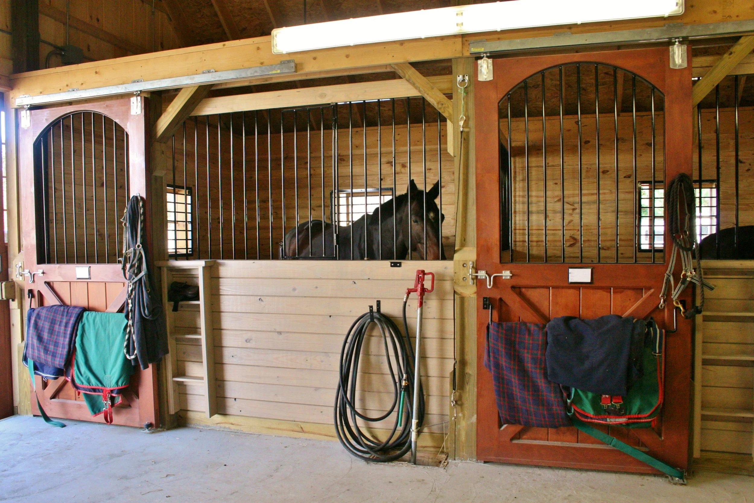 Arched Stall Door and Front.JPG