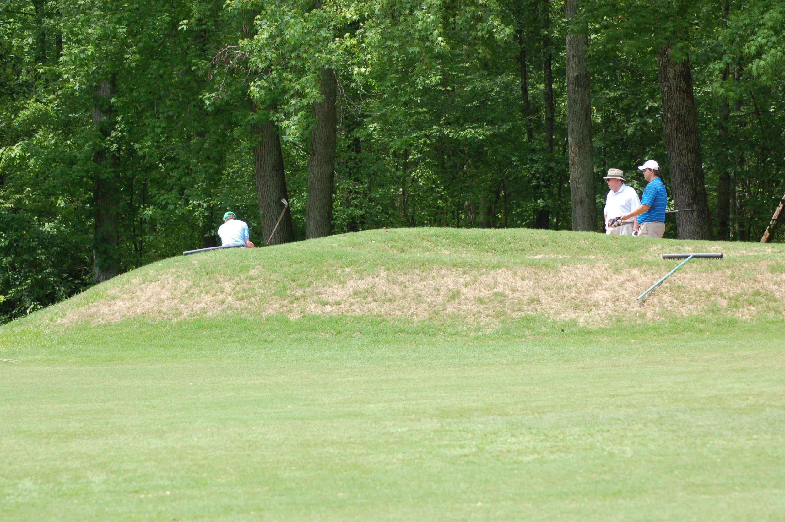 DSC_0282.JPG