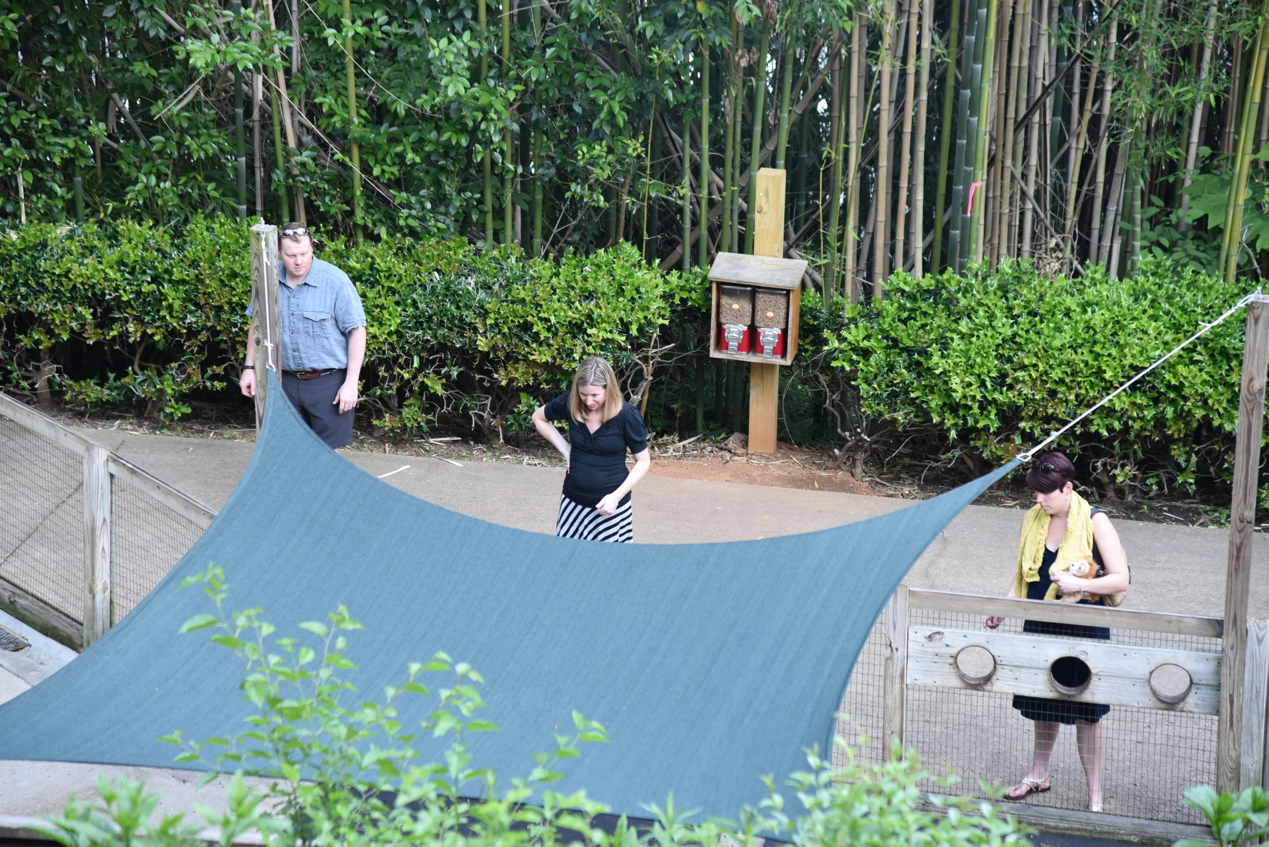 DSC_0766.JPG