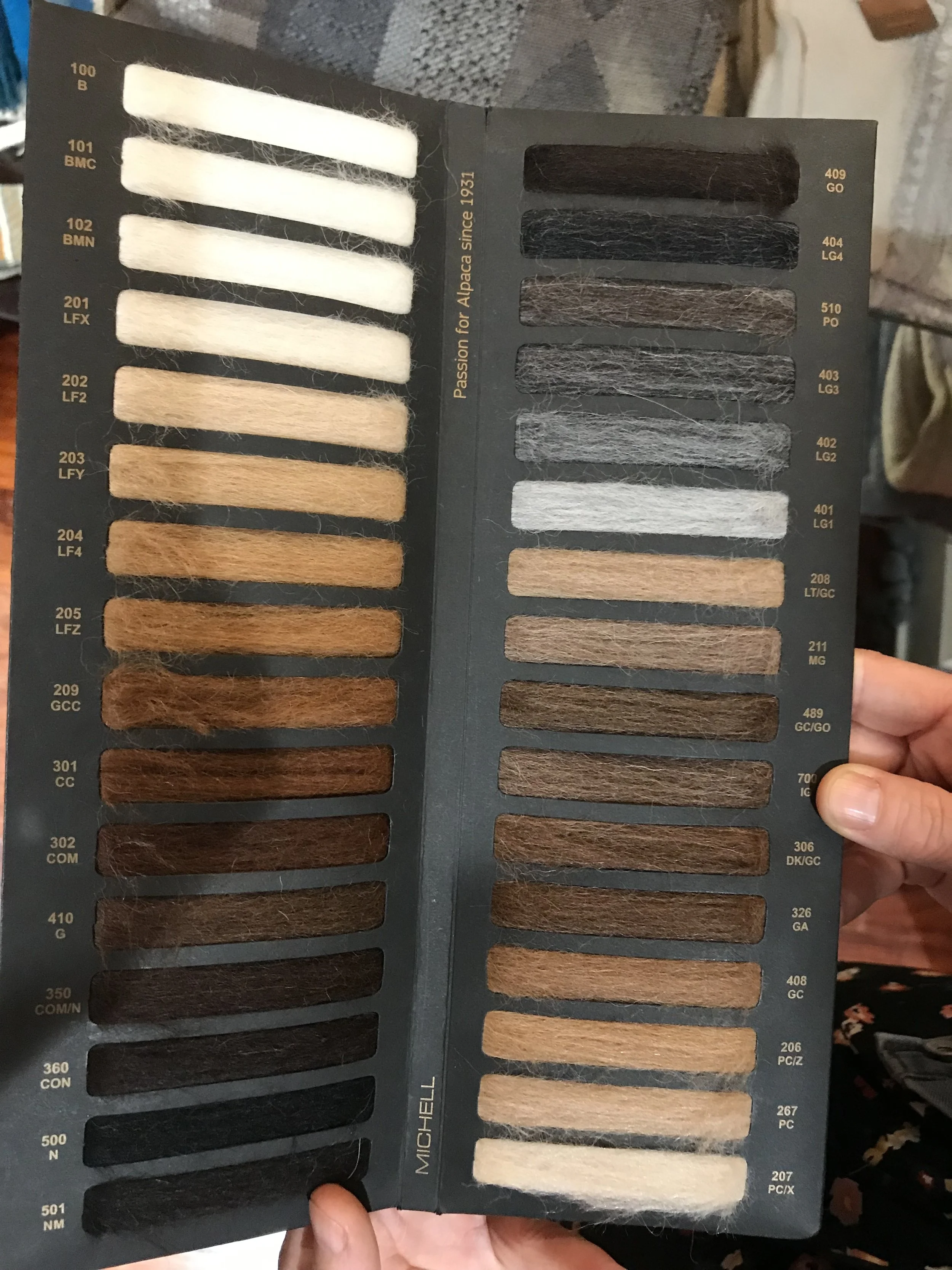 The many colors of alpaca!