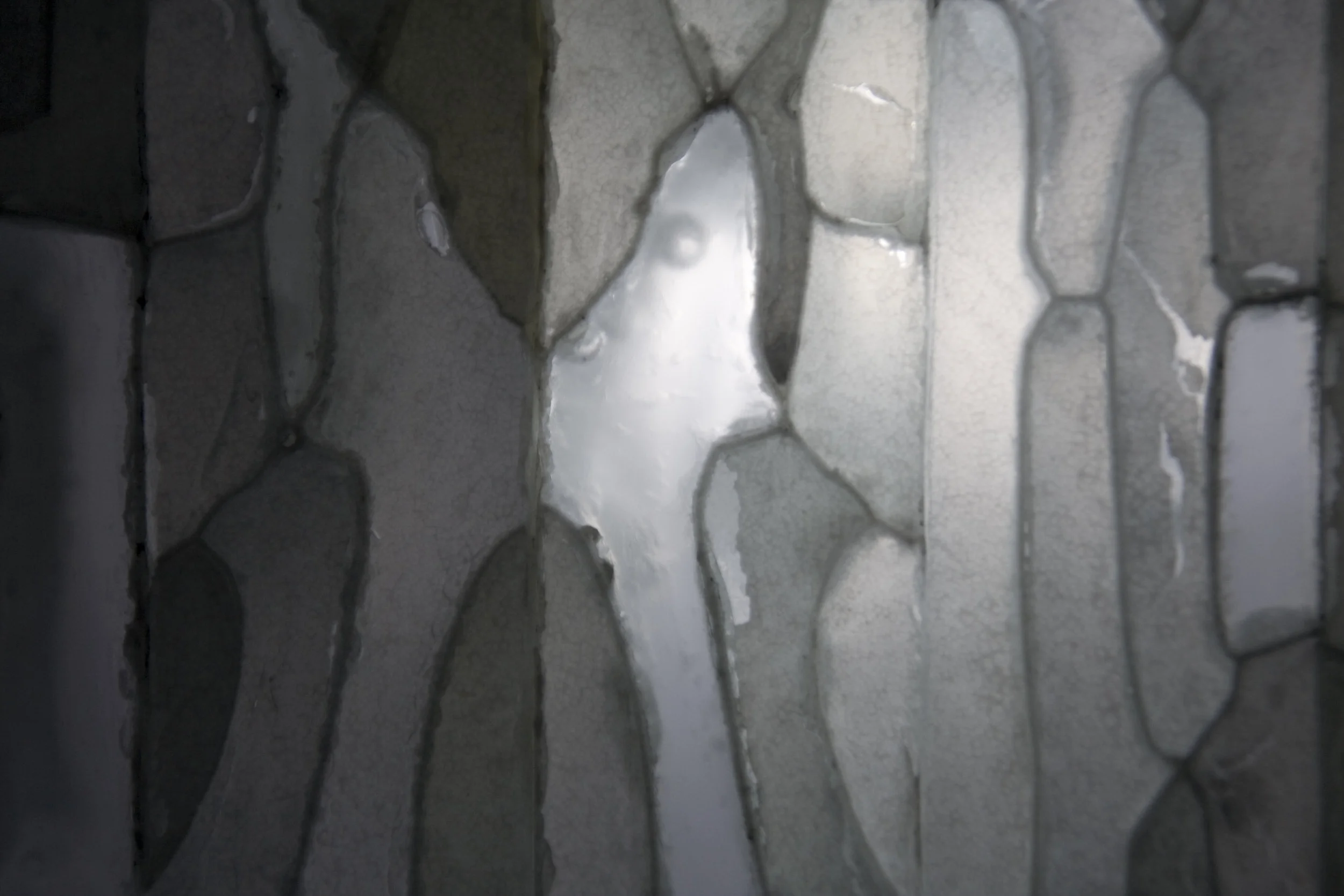 09_GlacierDetail_CJH.jpg