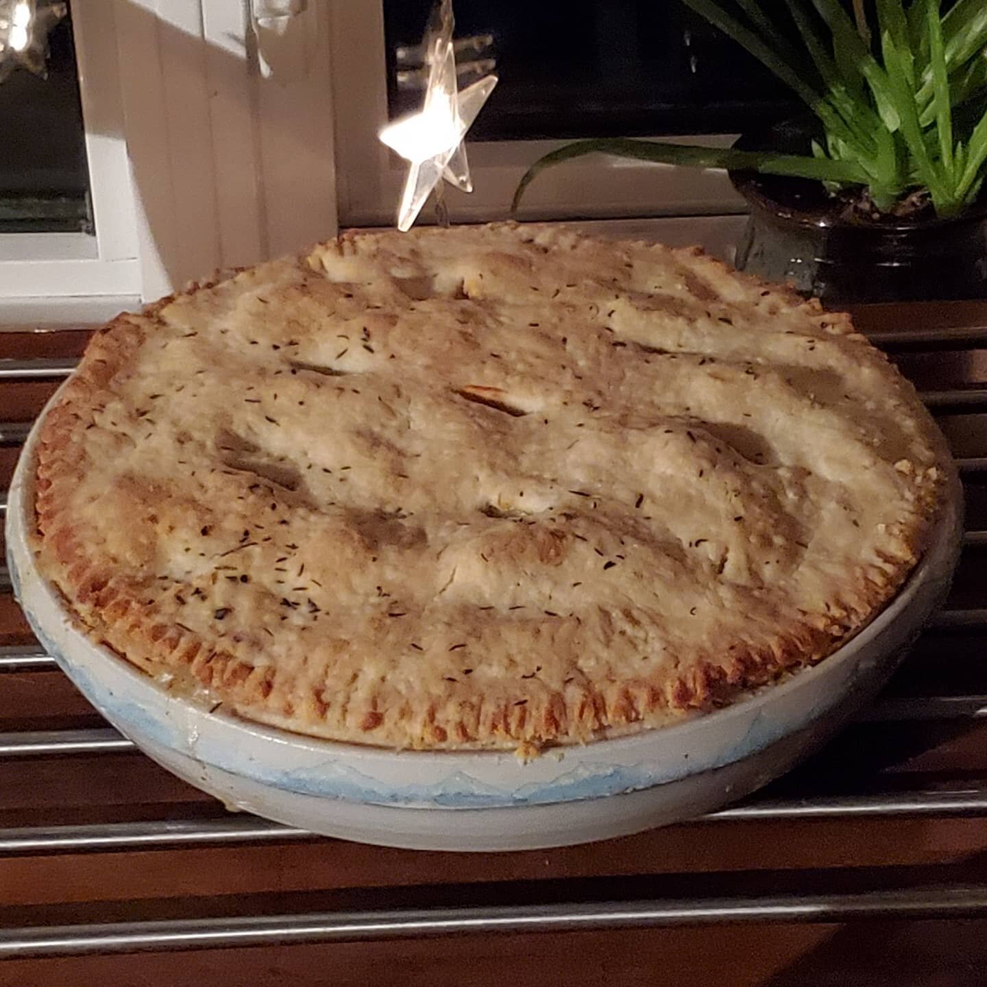 Carl couldn't resist quality testing this pie plate ❤ Chef approved ✅ Homemade pot pie + in home made pie plate = best winter solstice ever (oh and the big dump of snow is pretty awesome too ❄)

#madewithlove #ciarajayneceramics #ciarajayne #craft #m