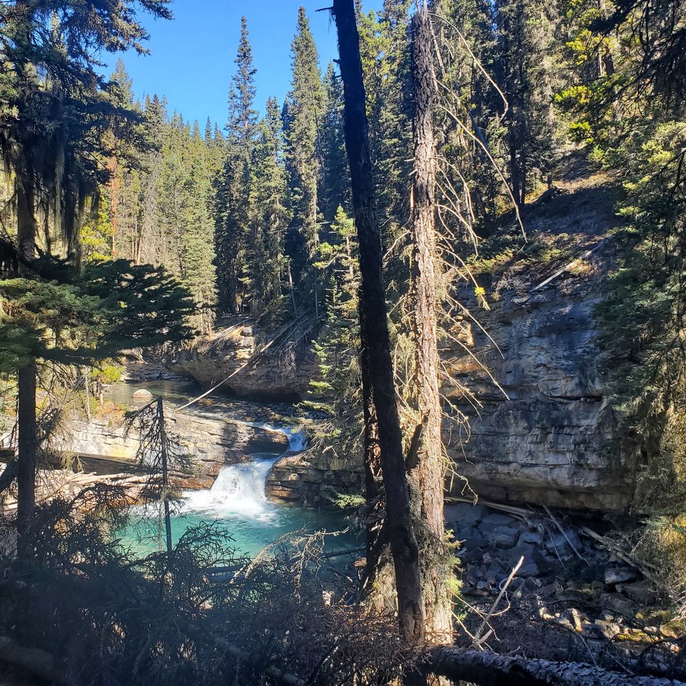 Johnson's Canyon Waterfall: A Vivid Autumn Day
